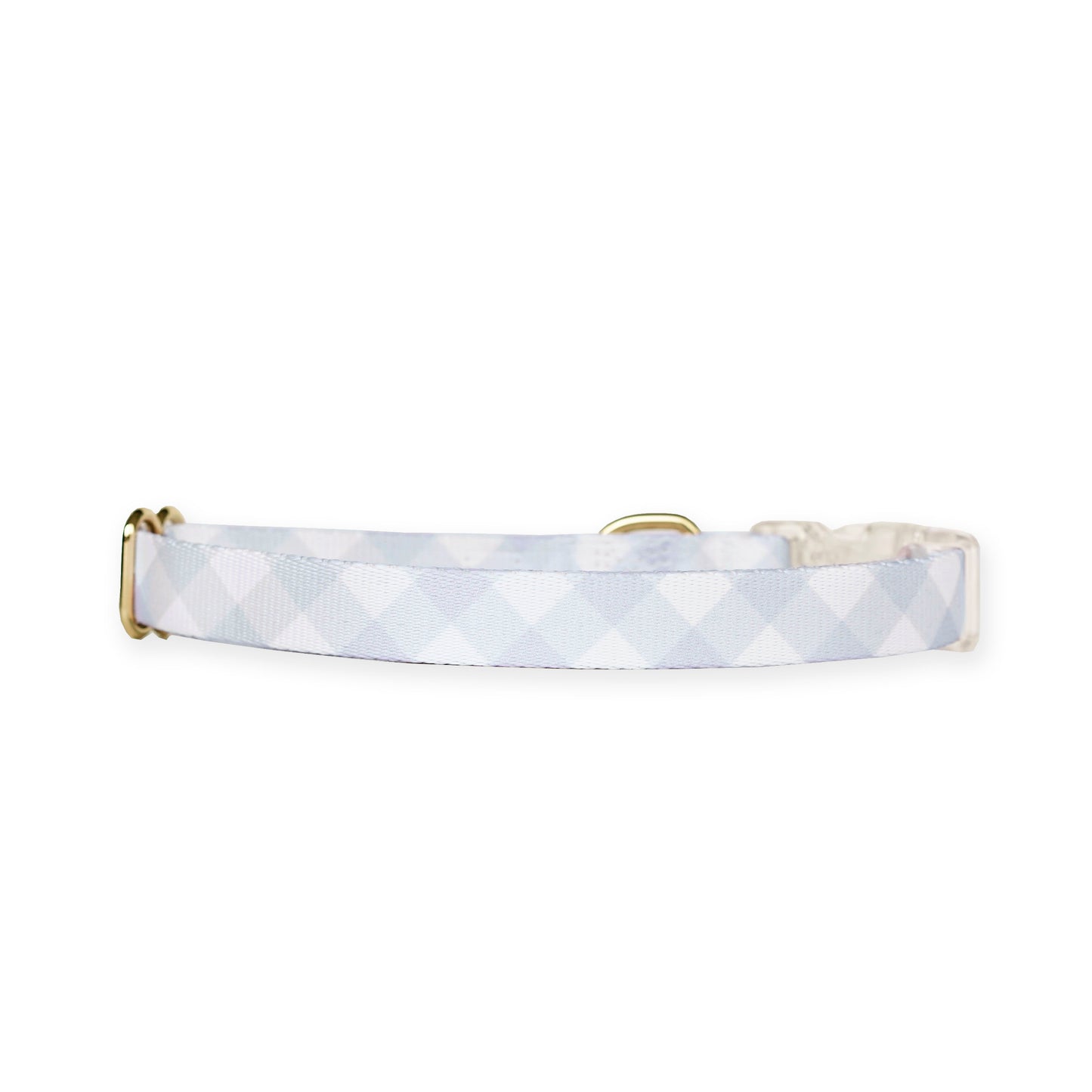 Archie’s Dog Collar