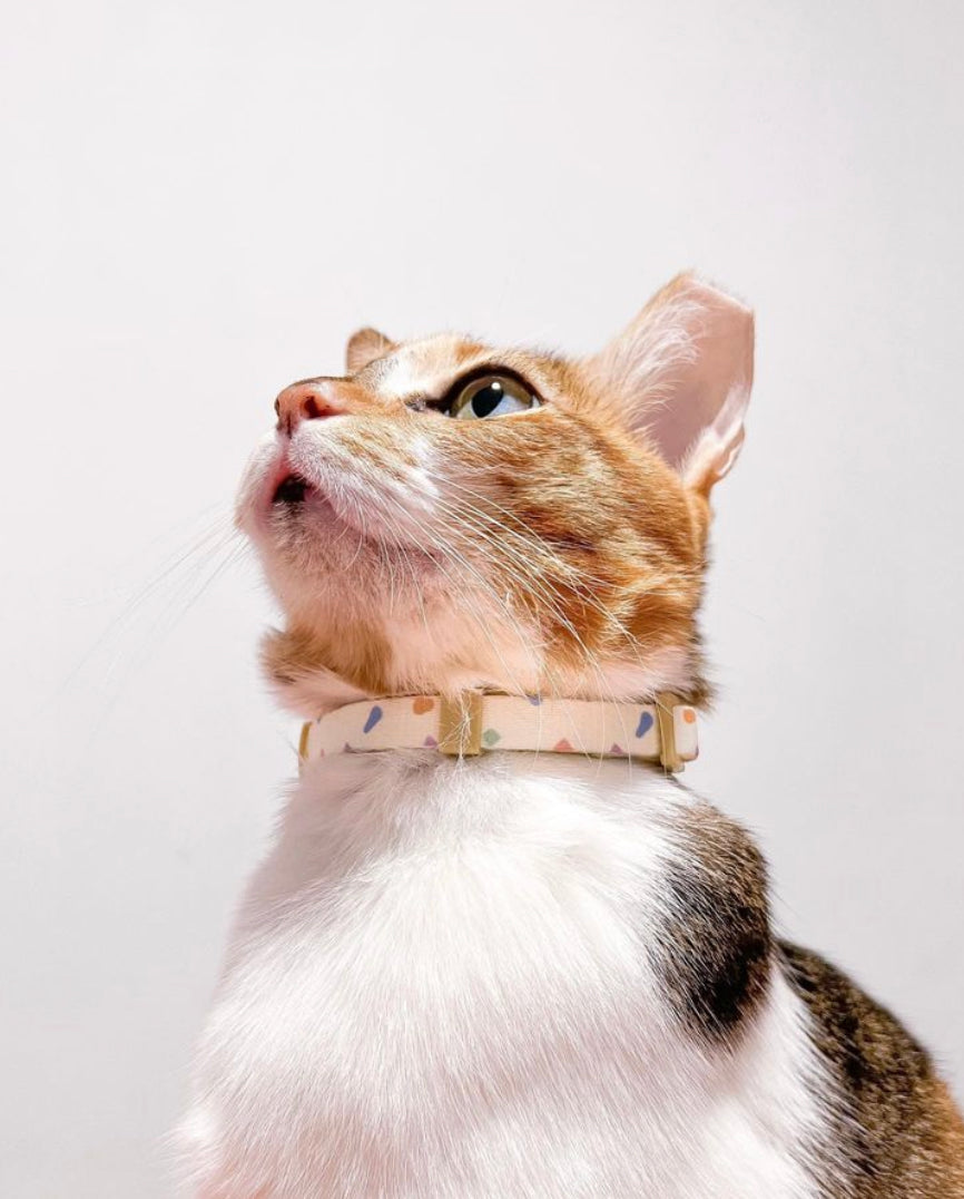 Confetti Dreams Cat Collar