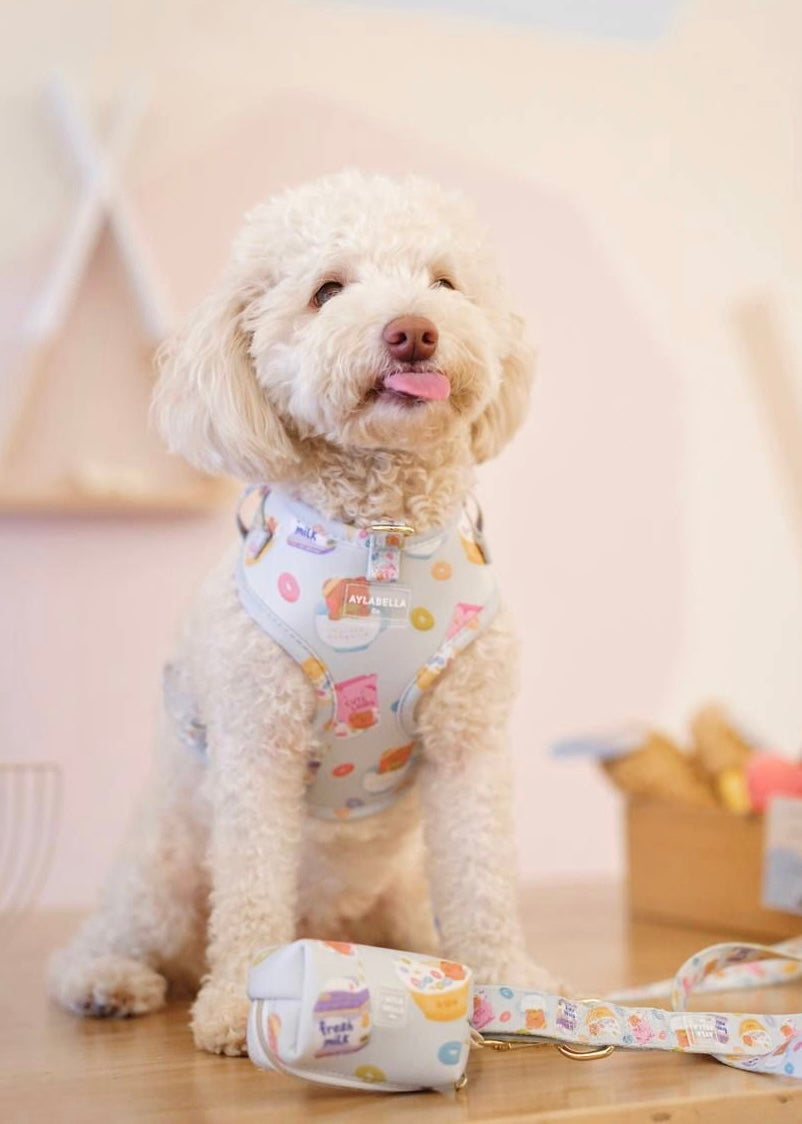 Cute Loops Dog Harness