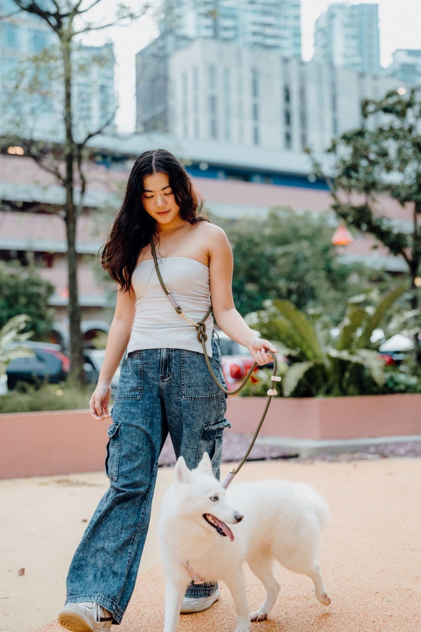 Olive Dog Hands-Free Leash