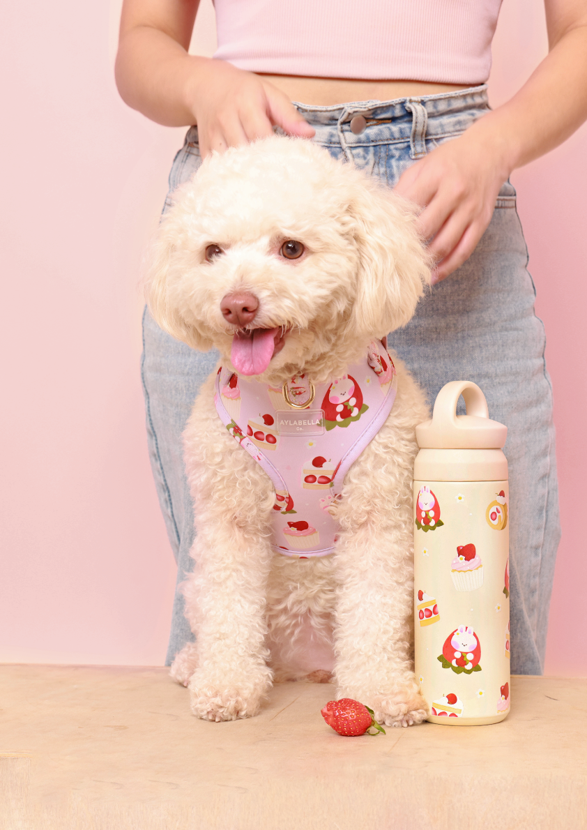 Strawberry Shortcake Dog Step-In Harness