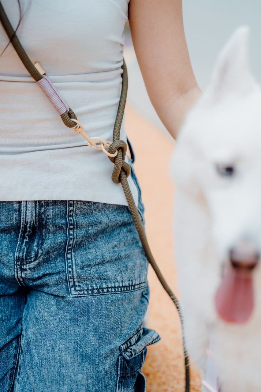 Olive Dog Hands-Free Leash