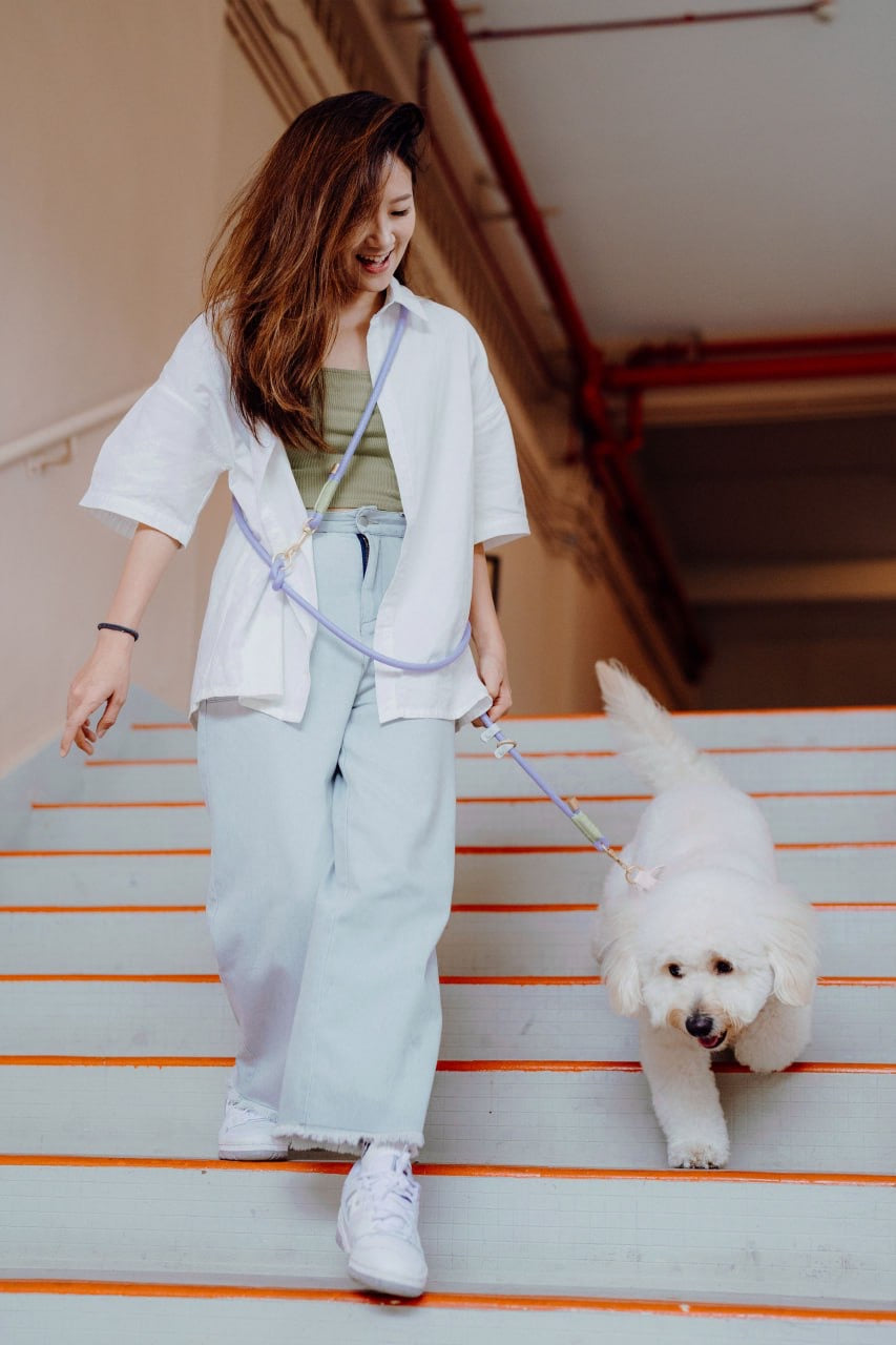 Periwinkle Dog Hands-Free Leash
