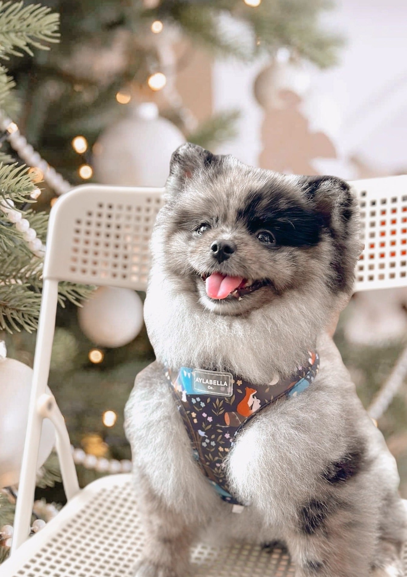 About Midnight Dog Harness