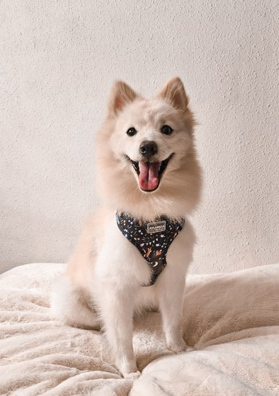 About Midnight Dog Harness