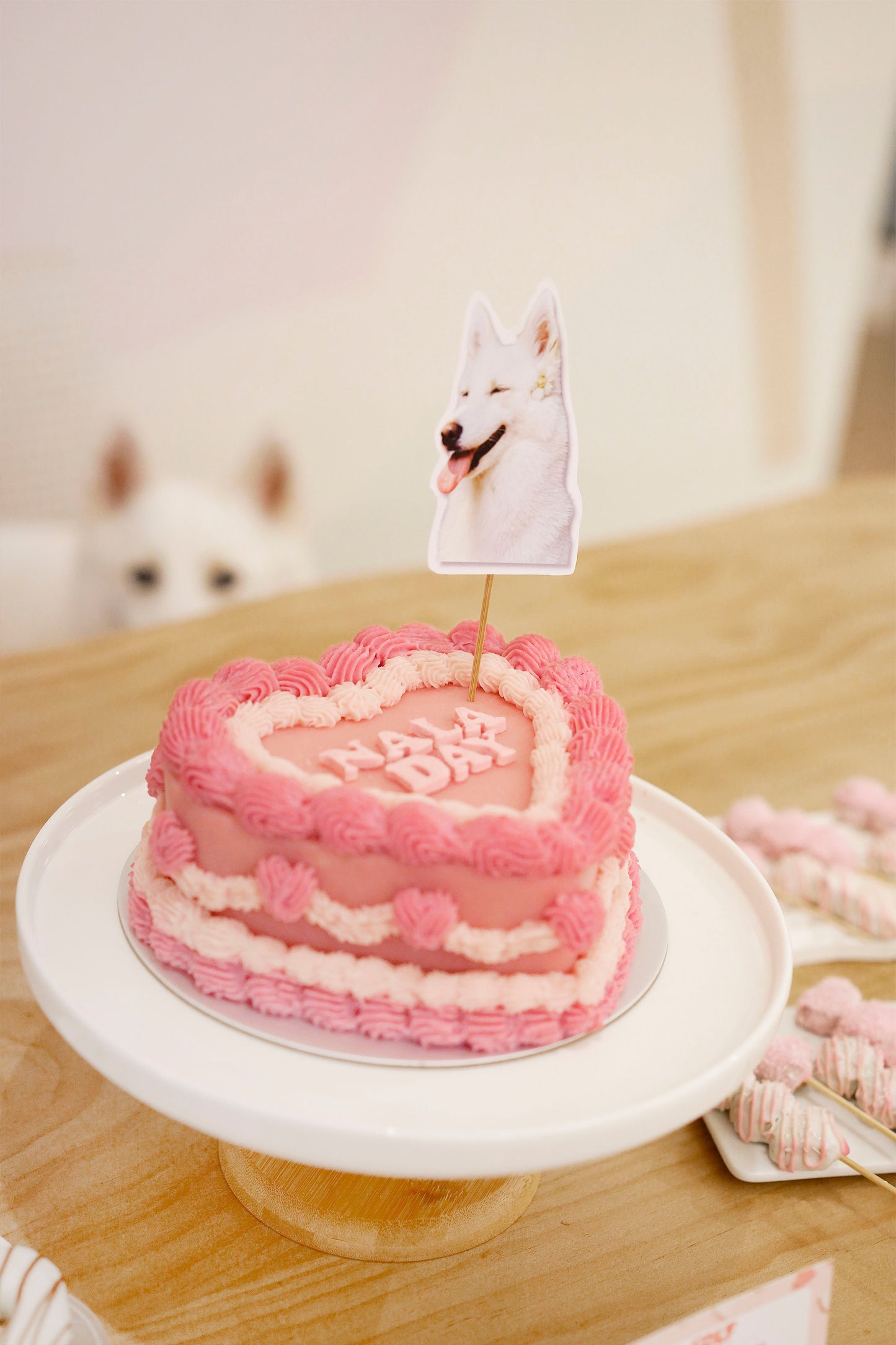 Host Your Dog’s Barkday With Us