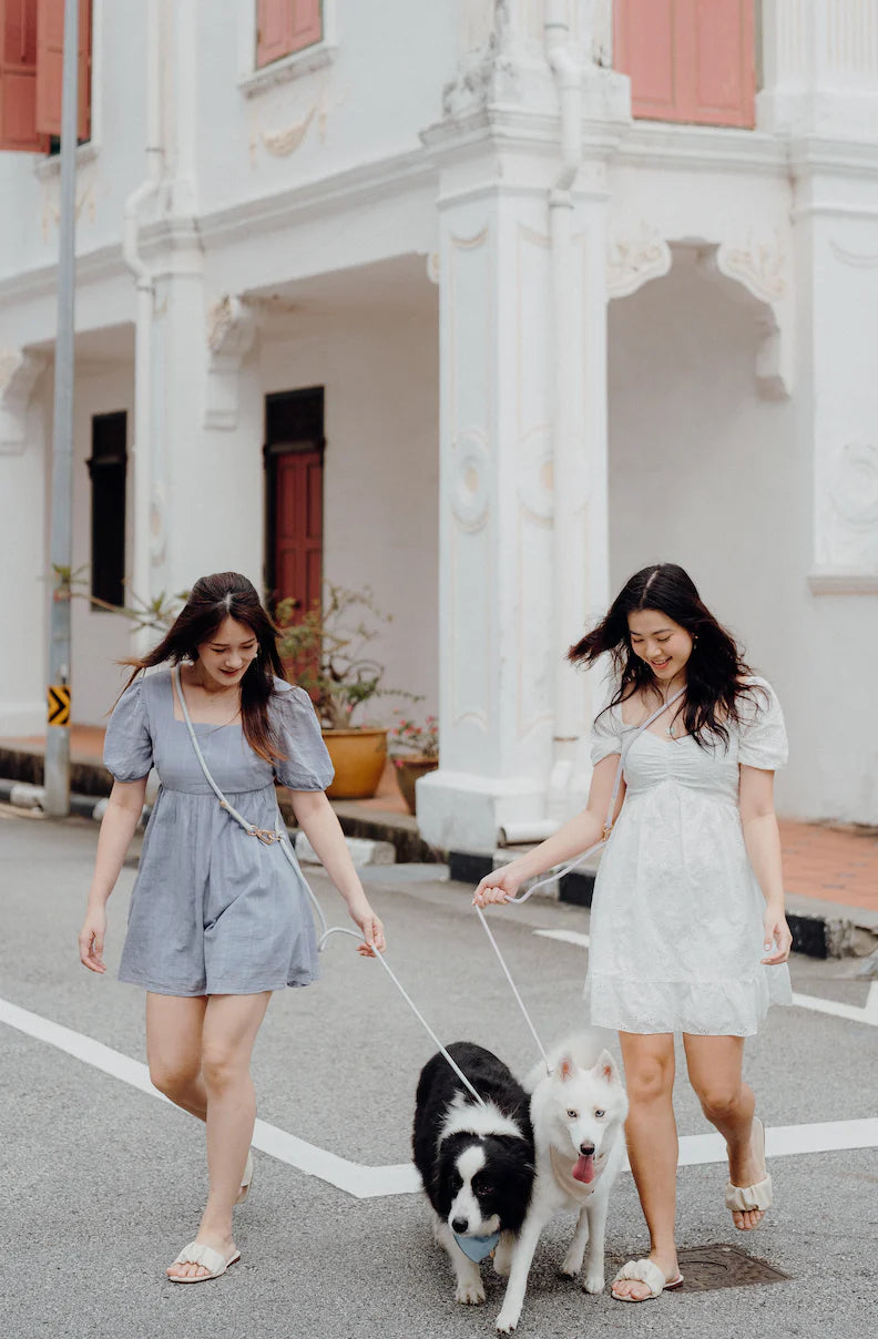 Champagne Dog Hands-Free Leash