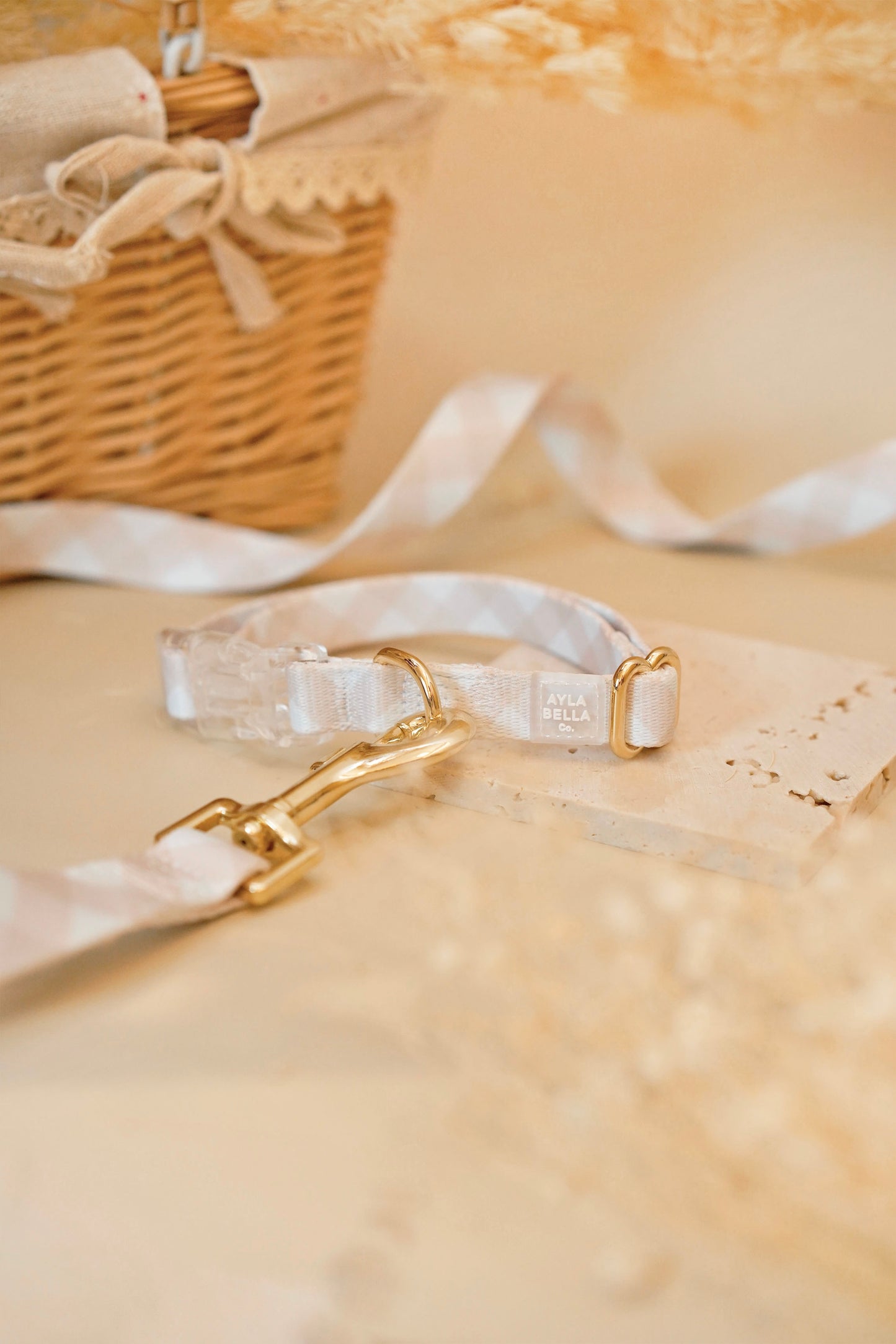 Macadamia Dog Collar