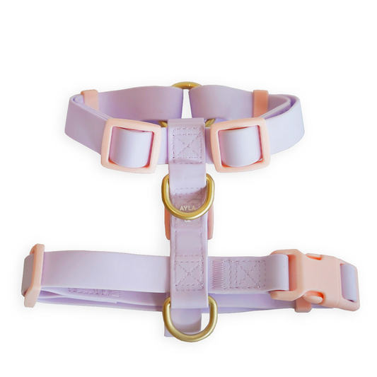 Lylla Waterproof Dog H-Harness