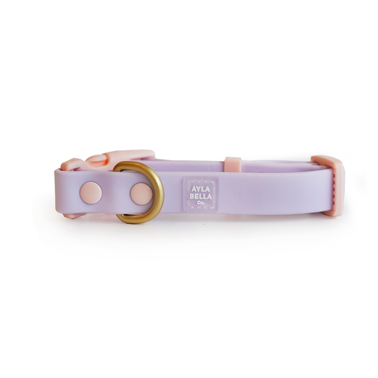 Lylla Waterproof Dog Collar