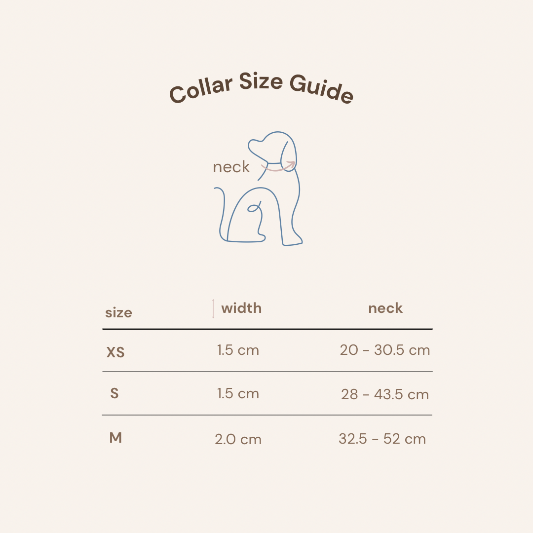 About Midnight Dog Collar