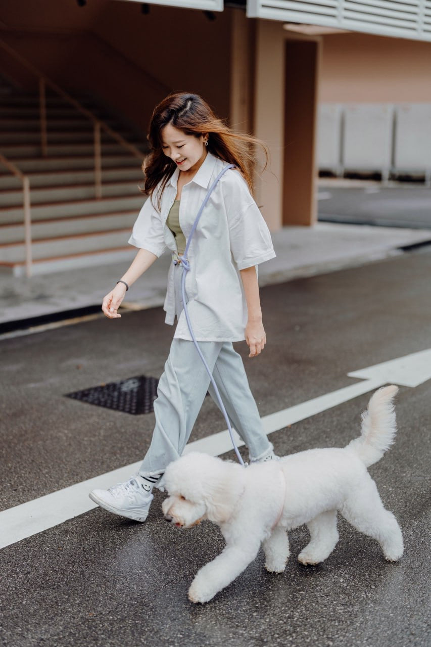 Periwinkle Dog Hands-Free Leash