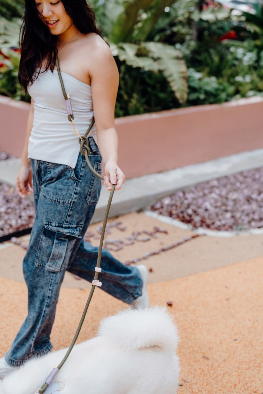 Olive Dog Hands-Free Leash