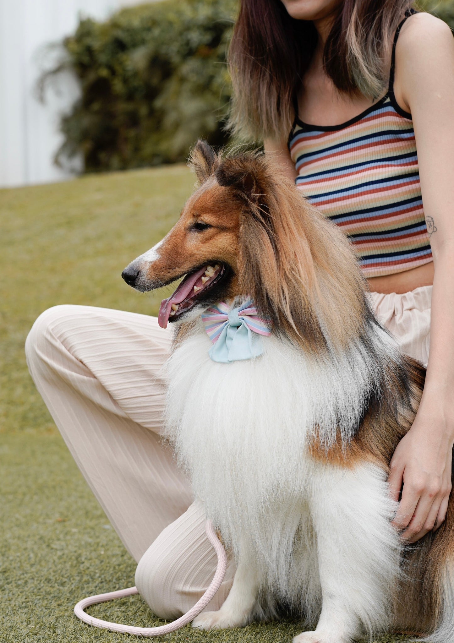 Mystery Bag - Dog Bow Tie Edition