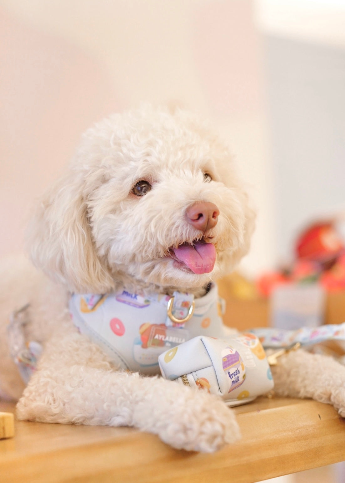 Cute Loops Dog Poop Bag