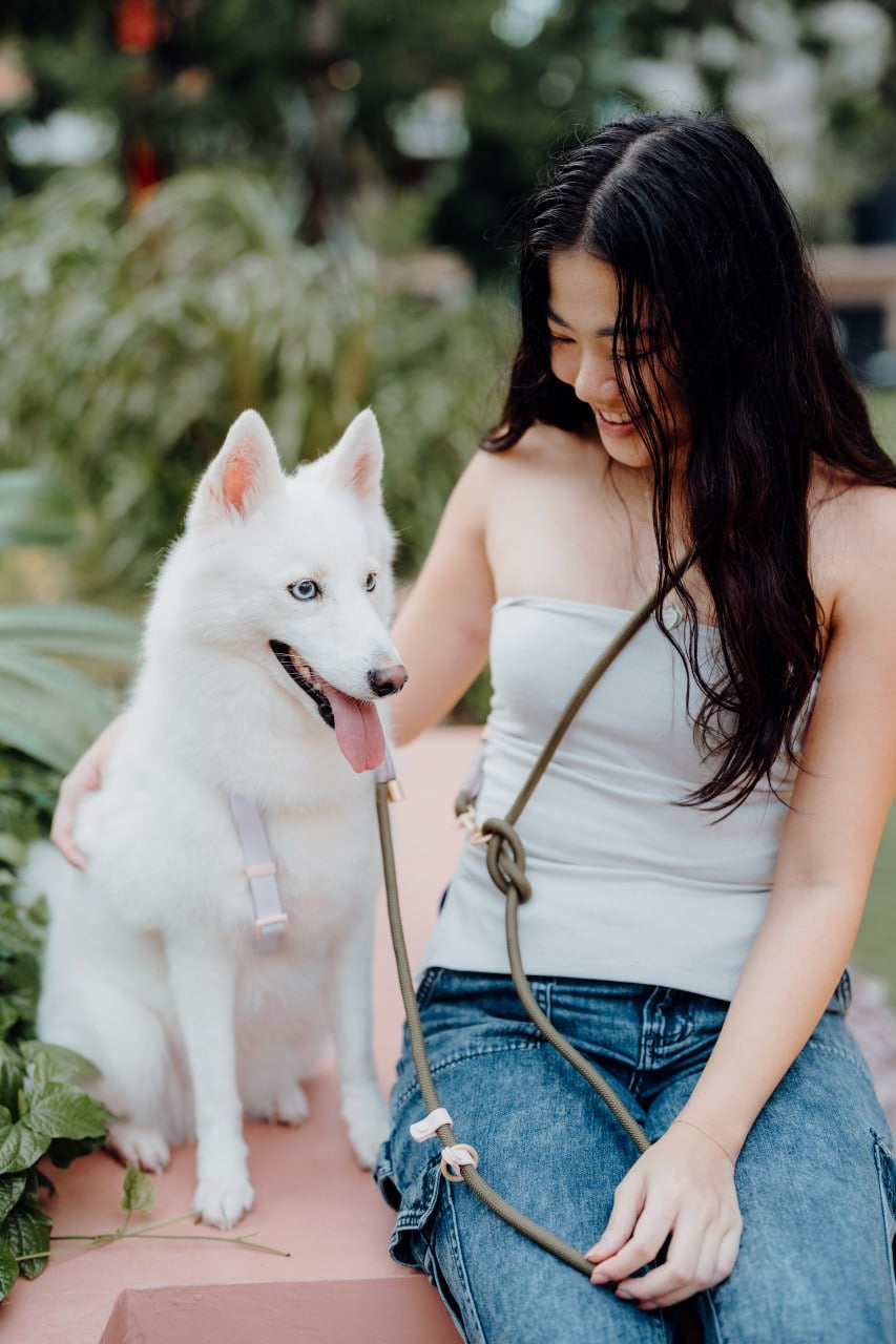 Olive Dog Hands-Free Leash