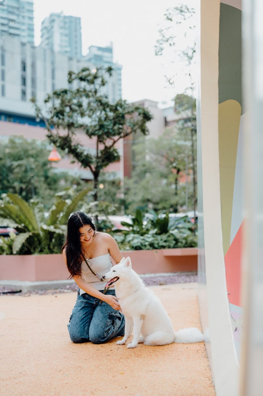 Olive Dog Hands-Free Leash