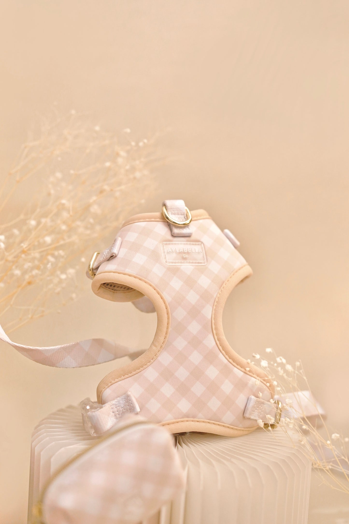 Macadamia Dog Collar