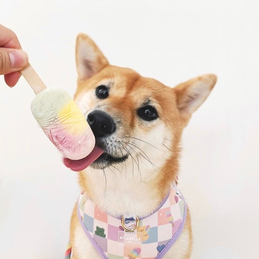 Cuddle Me, Baby Dog Harness (Pride Collection)