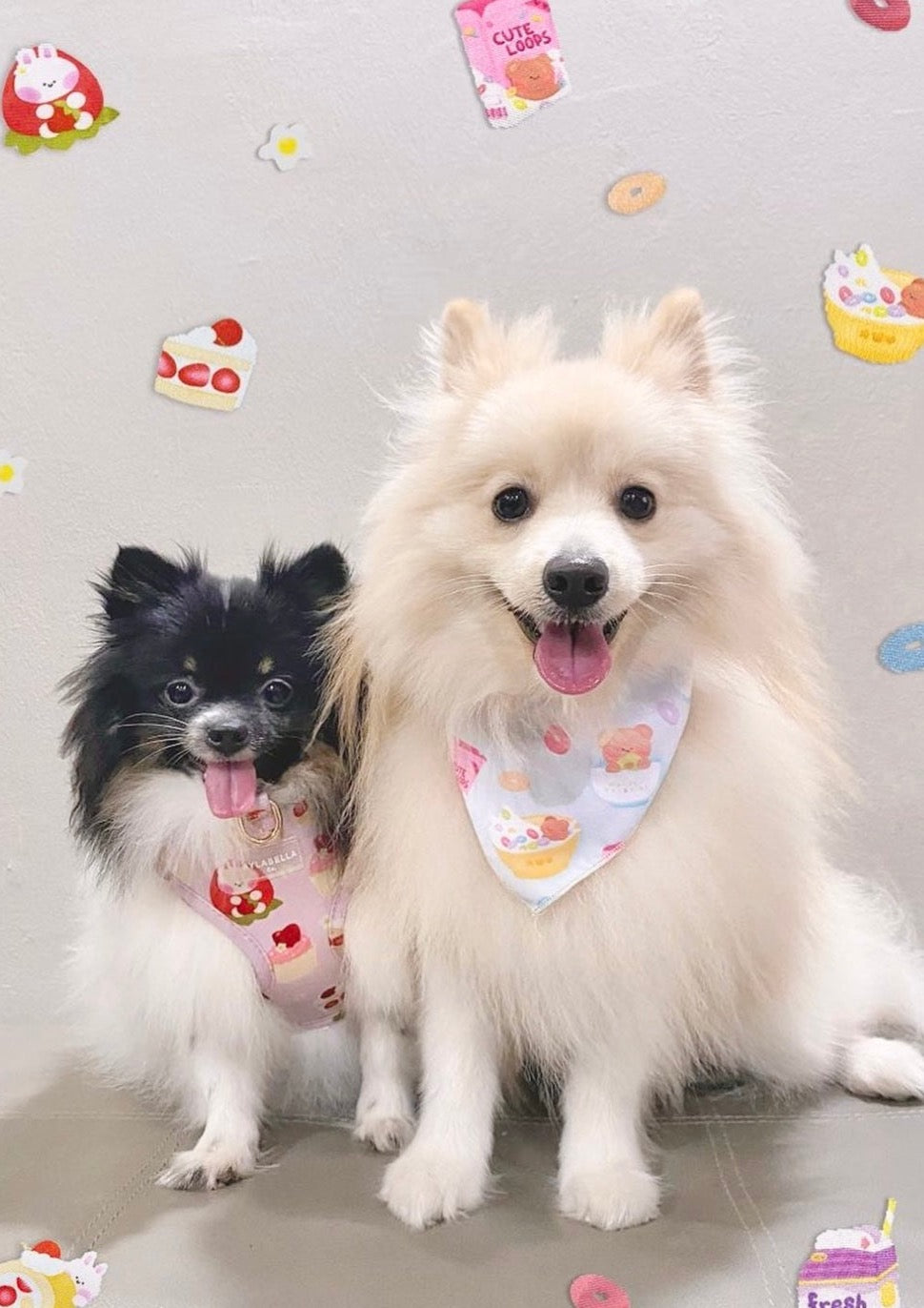 Strawberry Shortcake Dog Harness