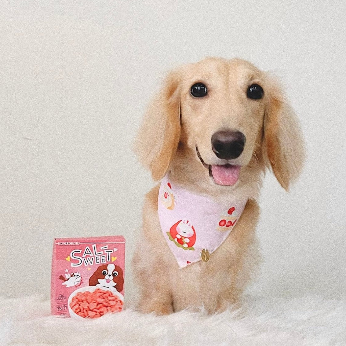 Sweet Treats Reversible Dog Bandana