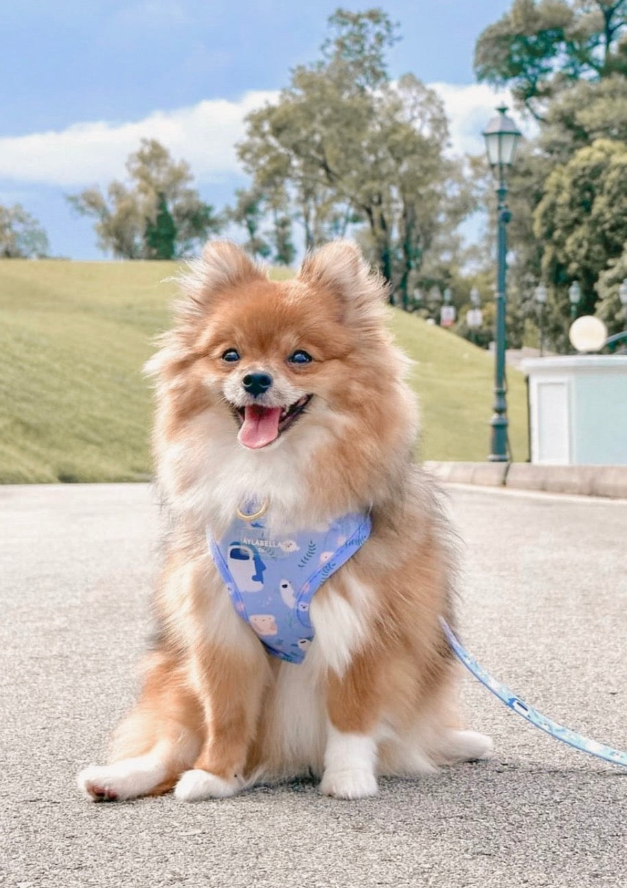 Sea-lly Creatures Dog Harness