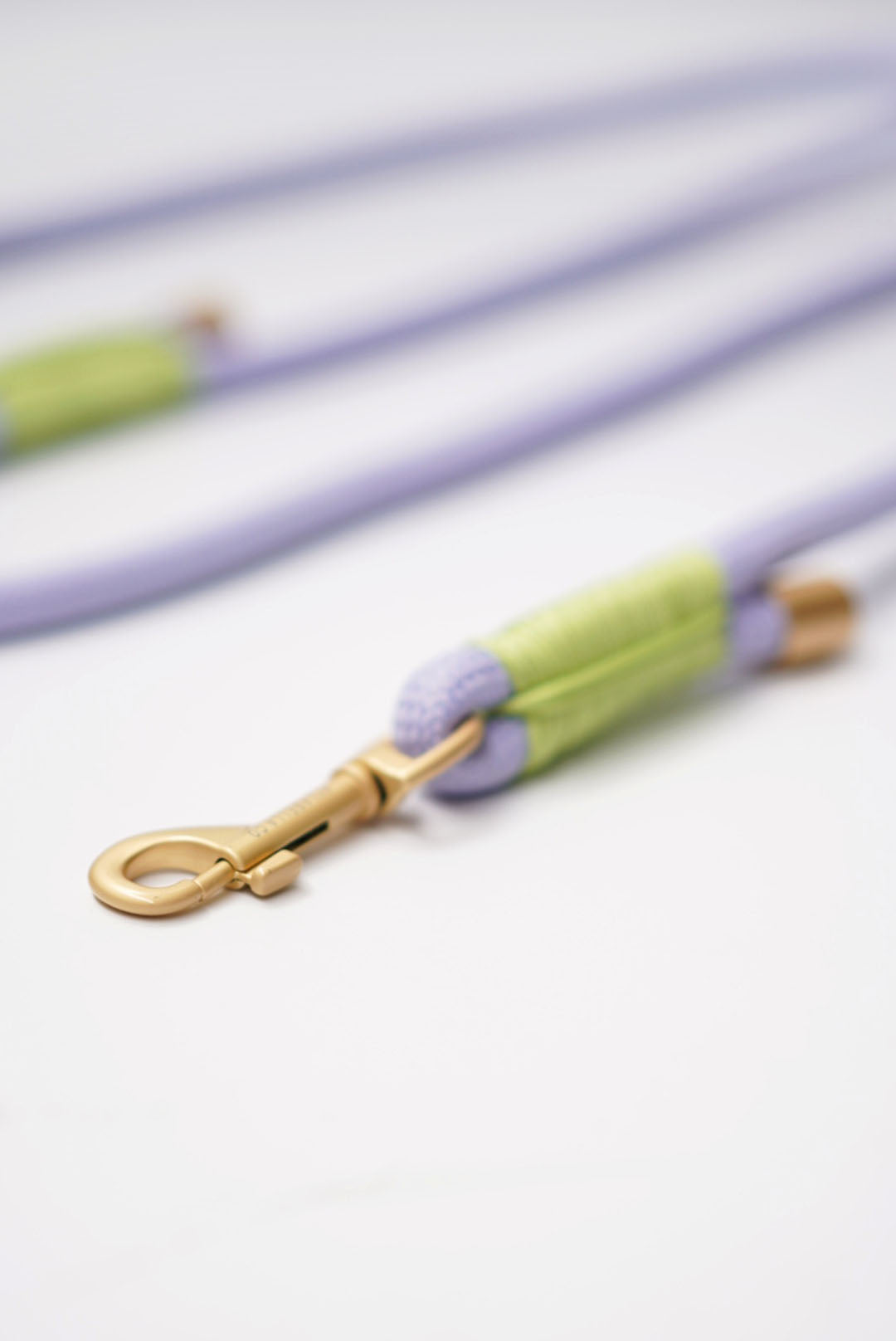 Periwinkle Dog Hands-Free Leash