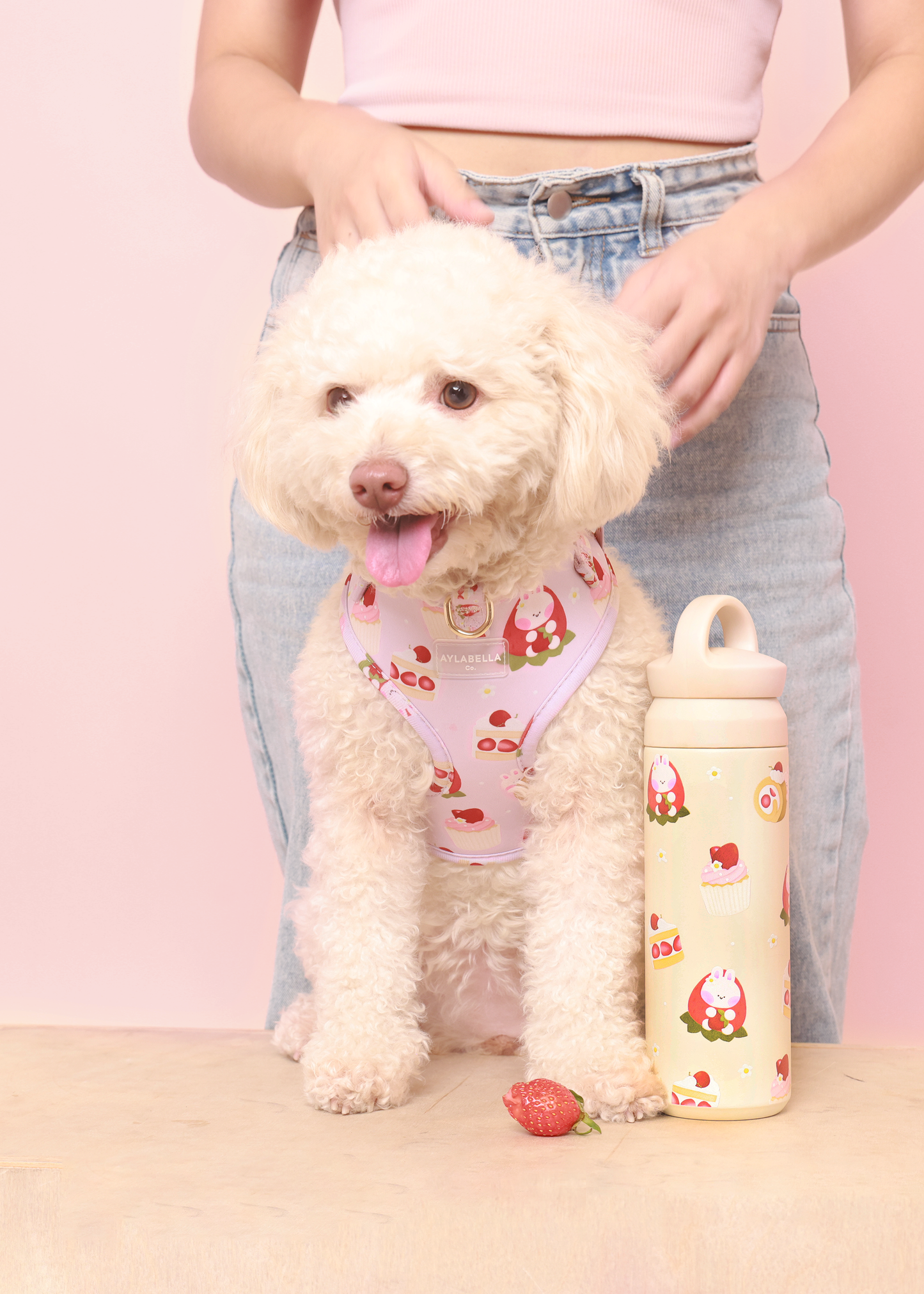 Strawberry Shortcake Dog Leash