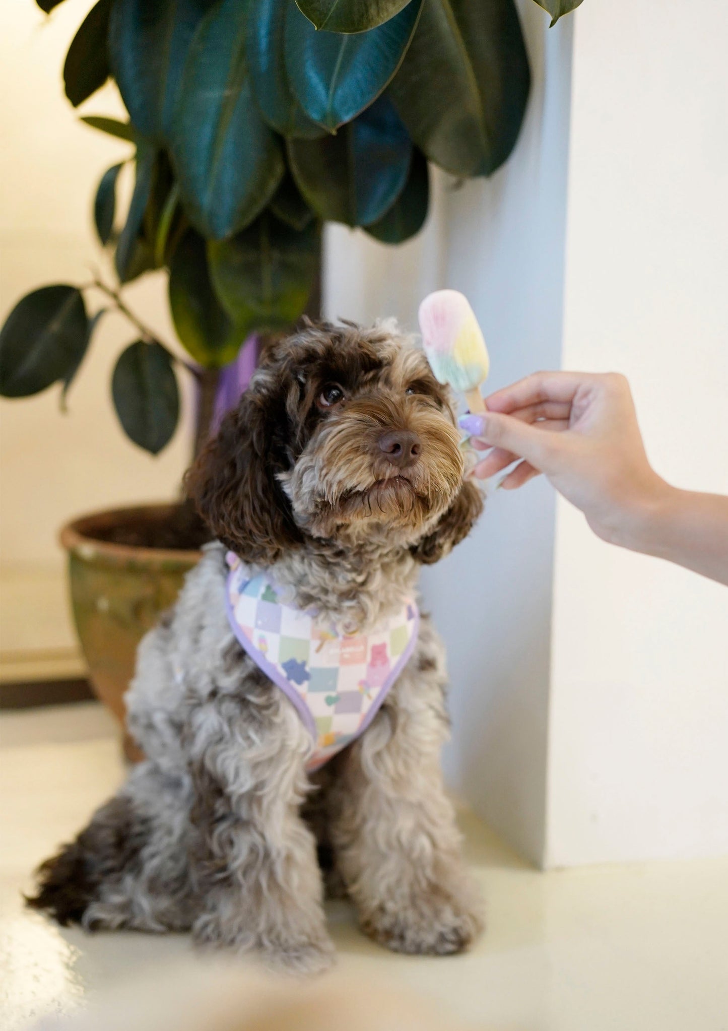 Cuddle Me, Baby Dog Harness (Pride Collection)