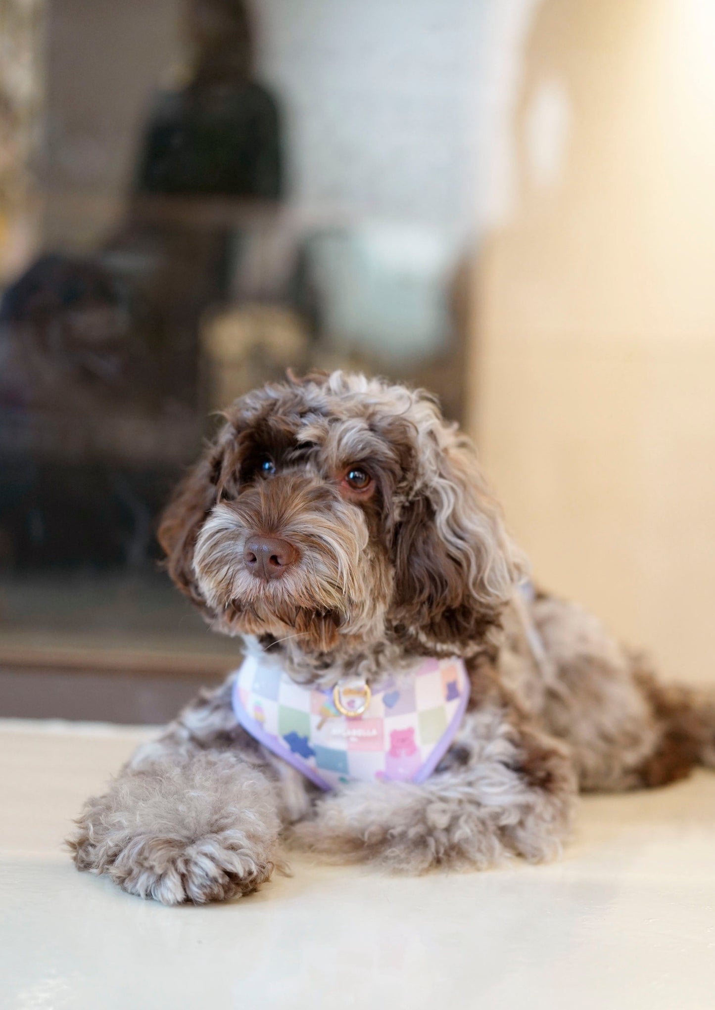 Cuddle Me, Baby Dog Harness (Pride Collection)