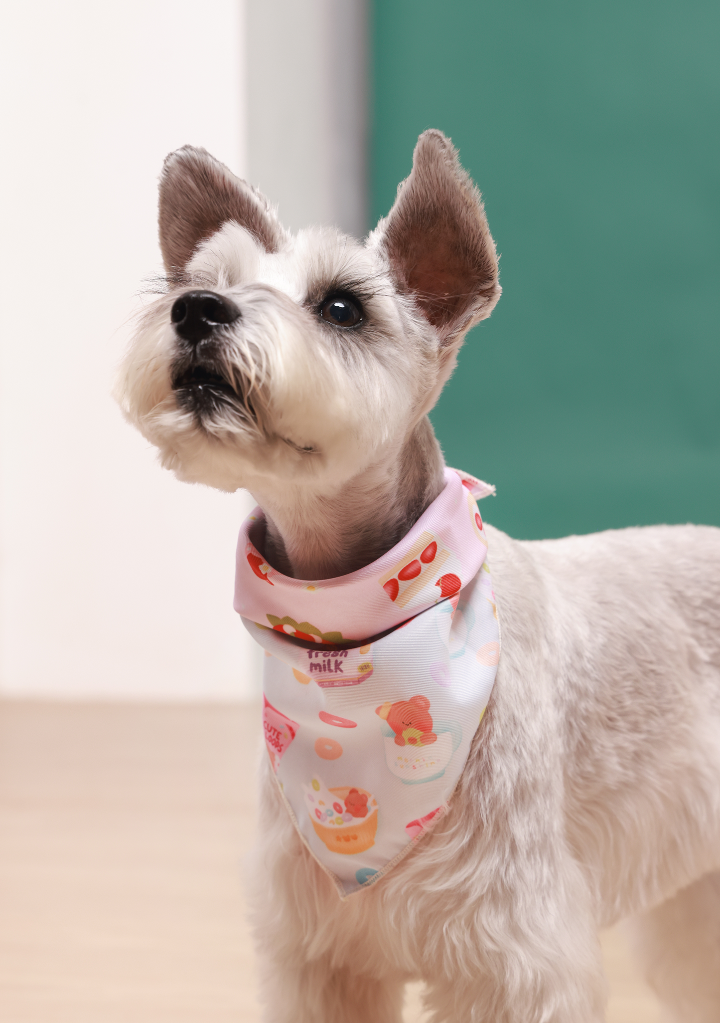 Sweet Treats Reversible Dog Bandana