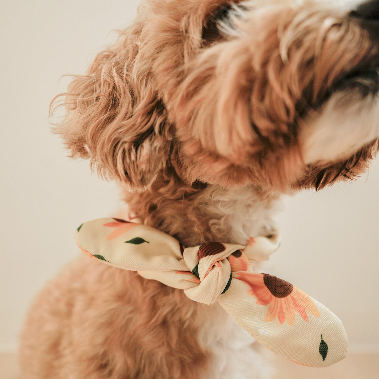 Vanilla Butter Dog Neckerchief