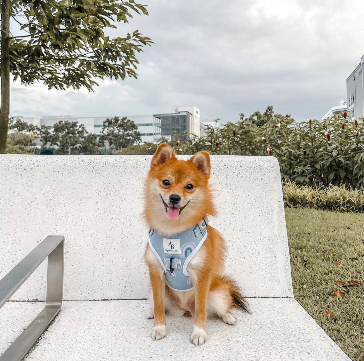 Bella Cuddles Dog Harness