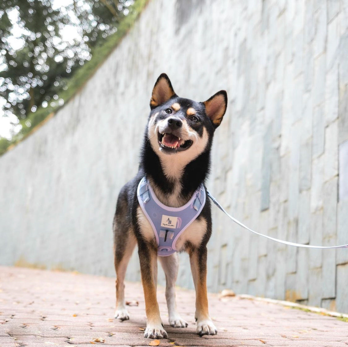 Bella Cuddles Dog Harness