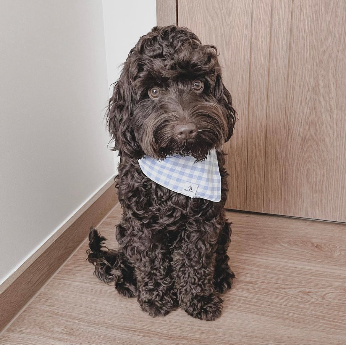 French Blue Bandana