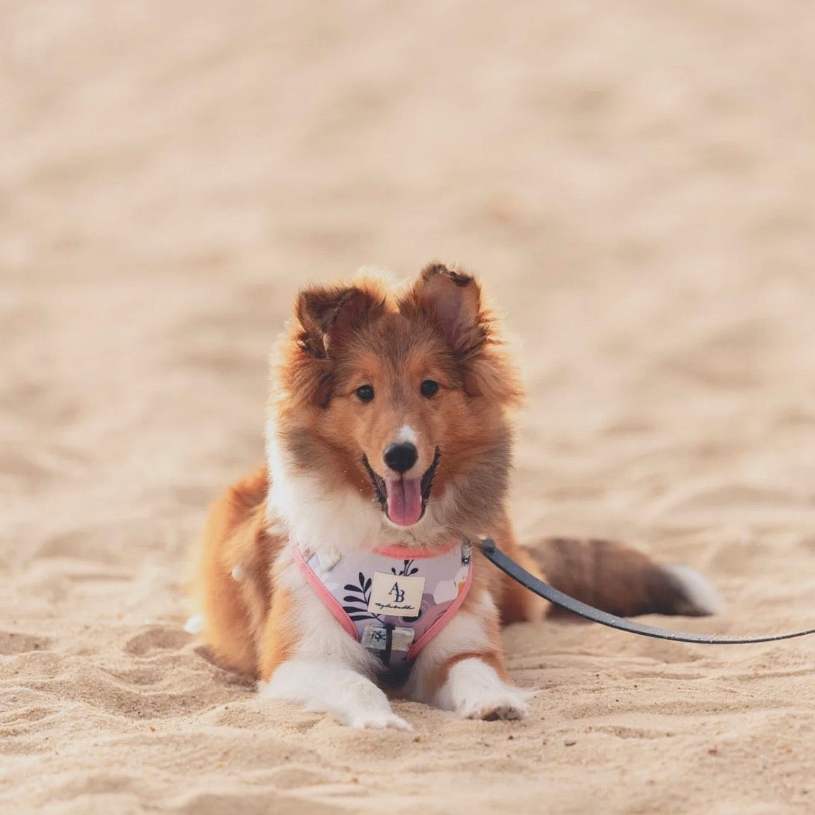 The Botanical Dog Harness