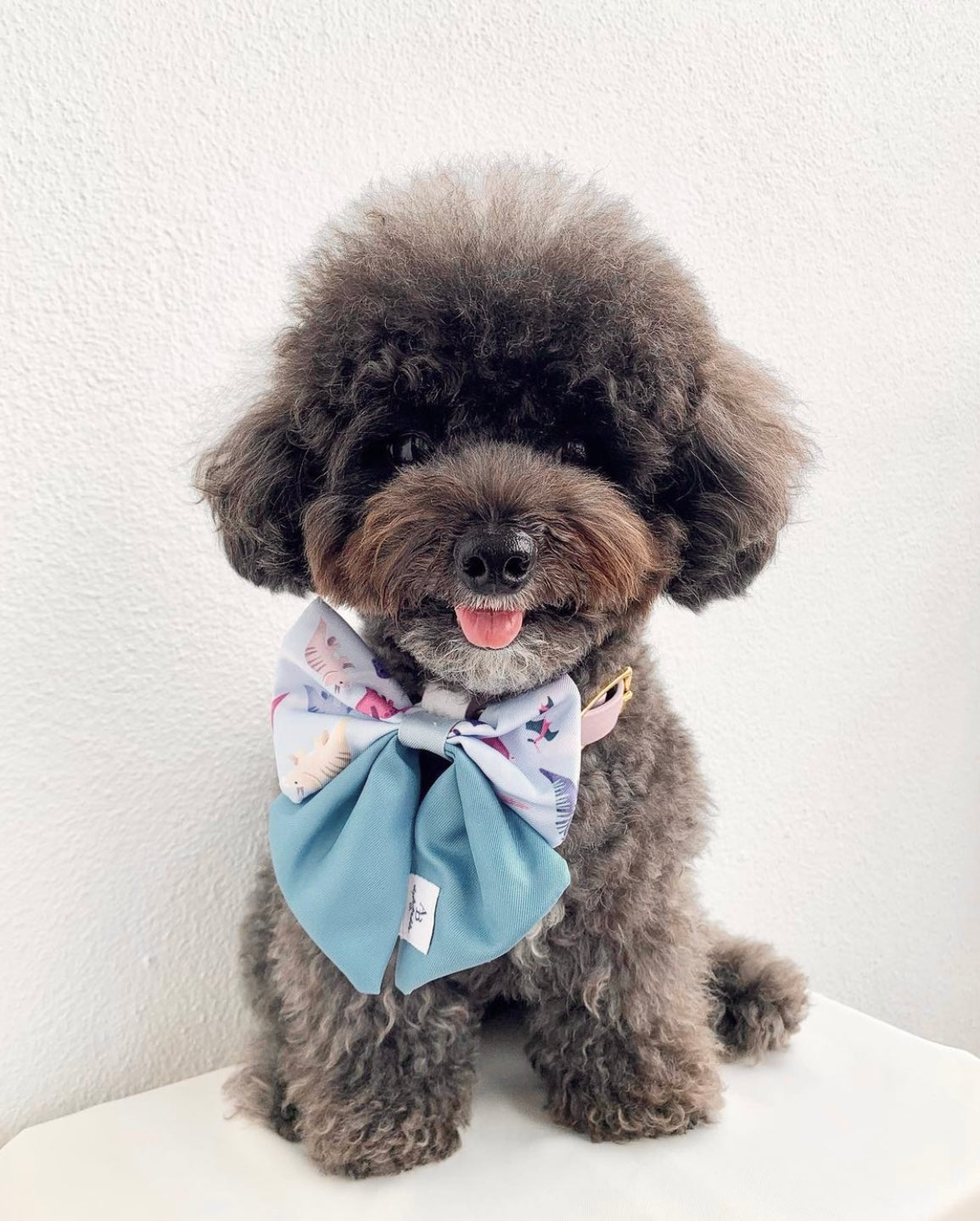 Dino Dog Sailor Bow Tie