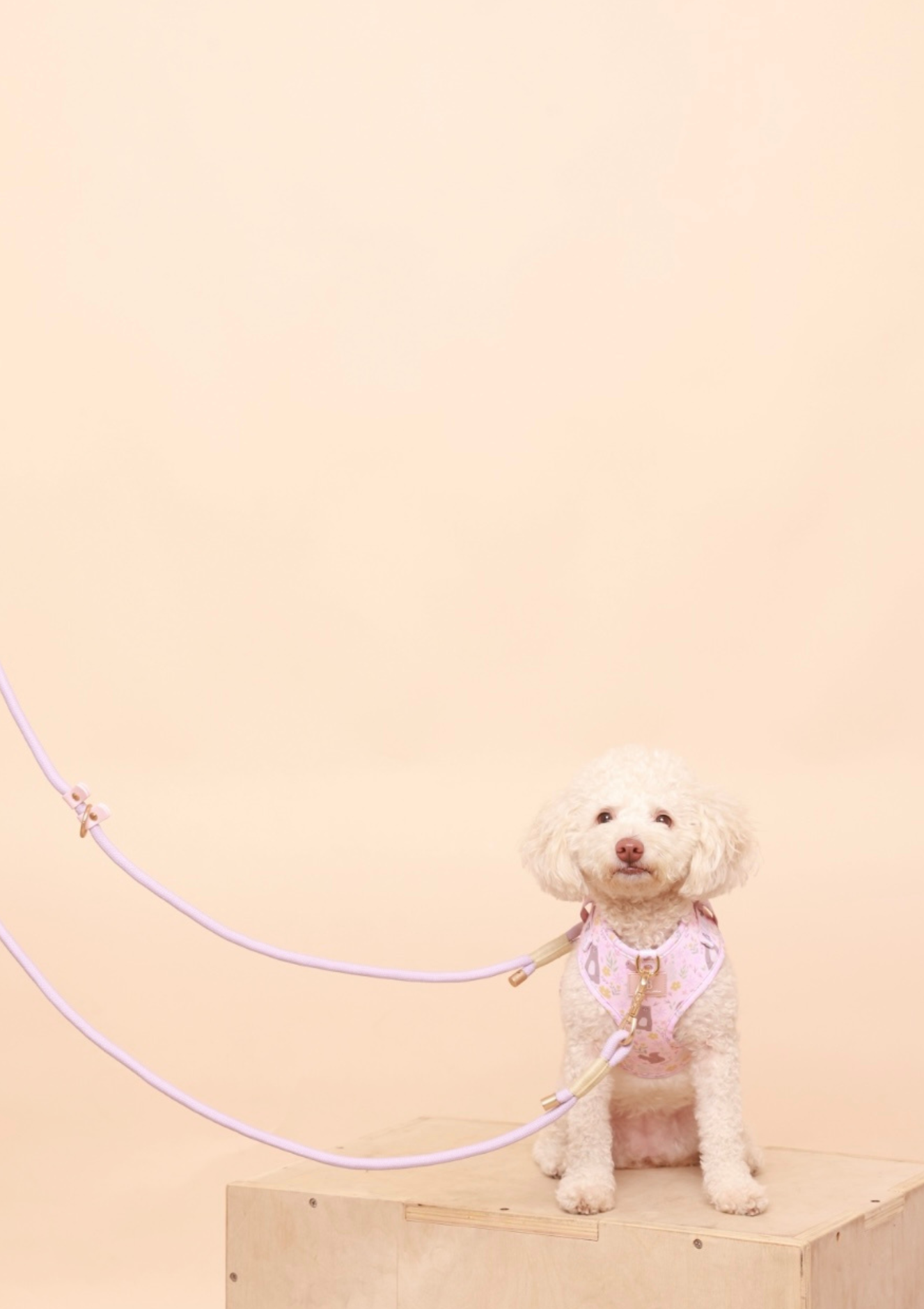 LAVENDER Dog Hands-Free Leash