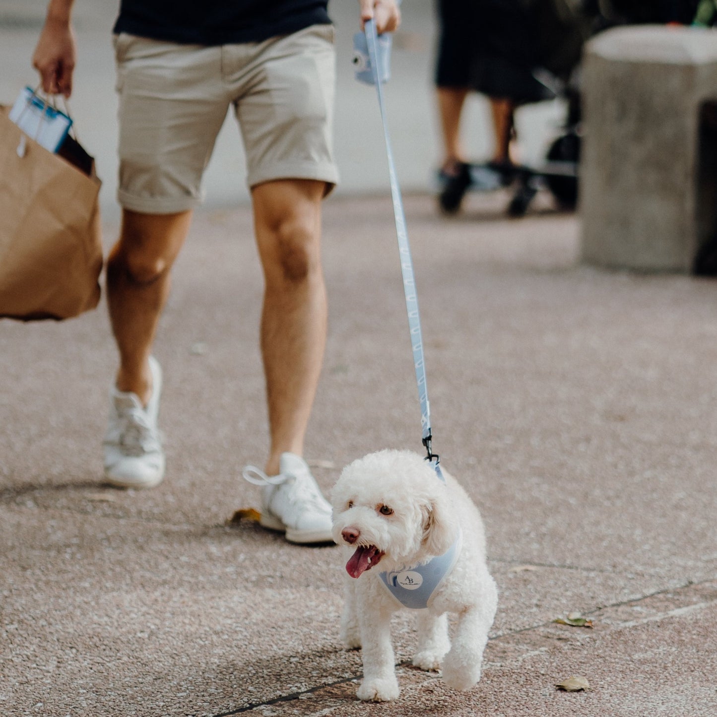 Bella Cuddles Dog Leash