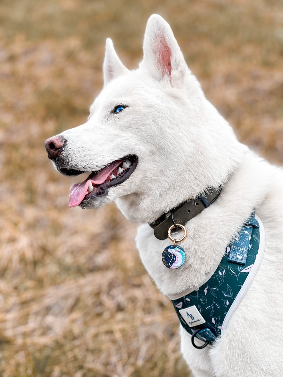 Lush Green Harness