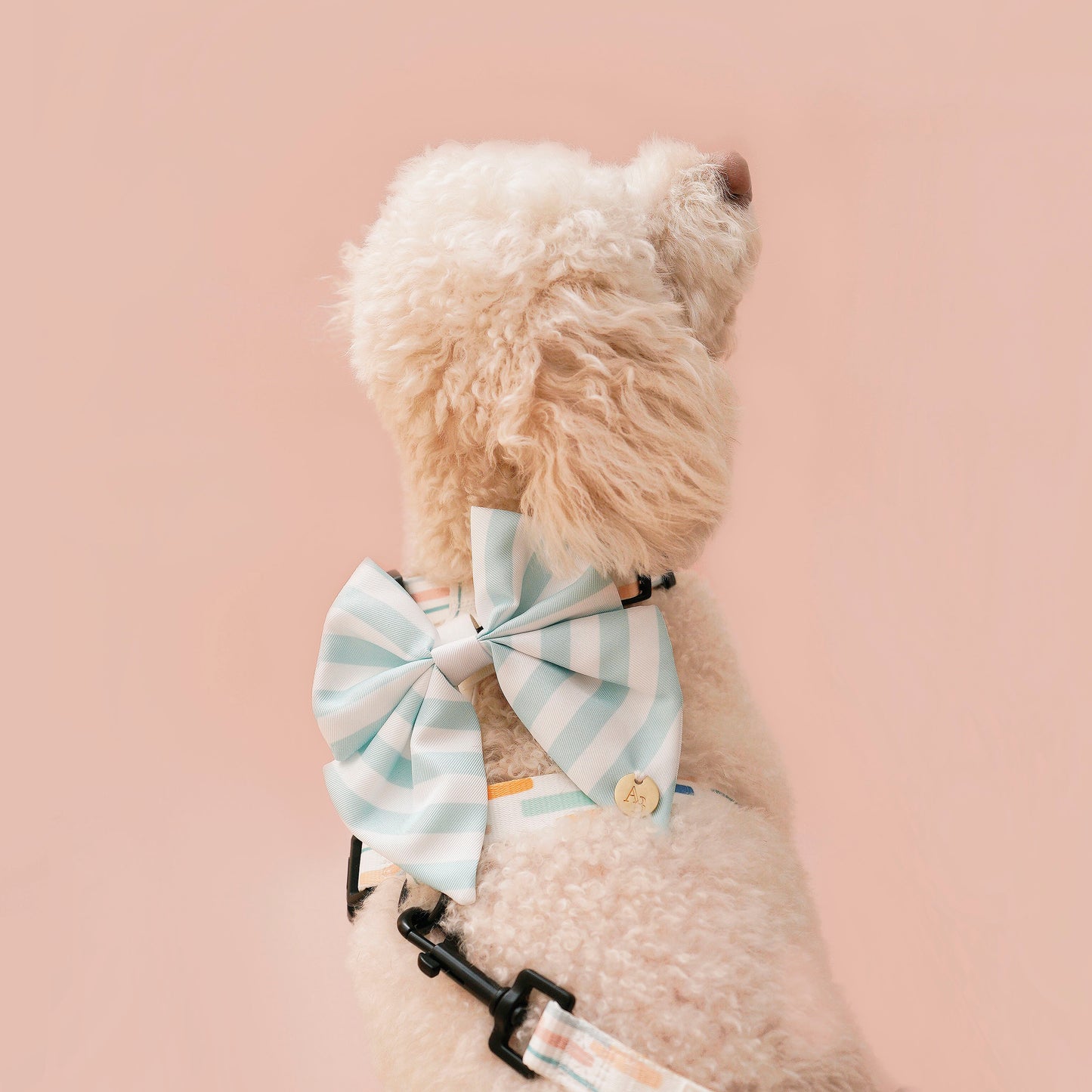 Brighton Sailor Dog Bow Tie