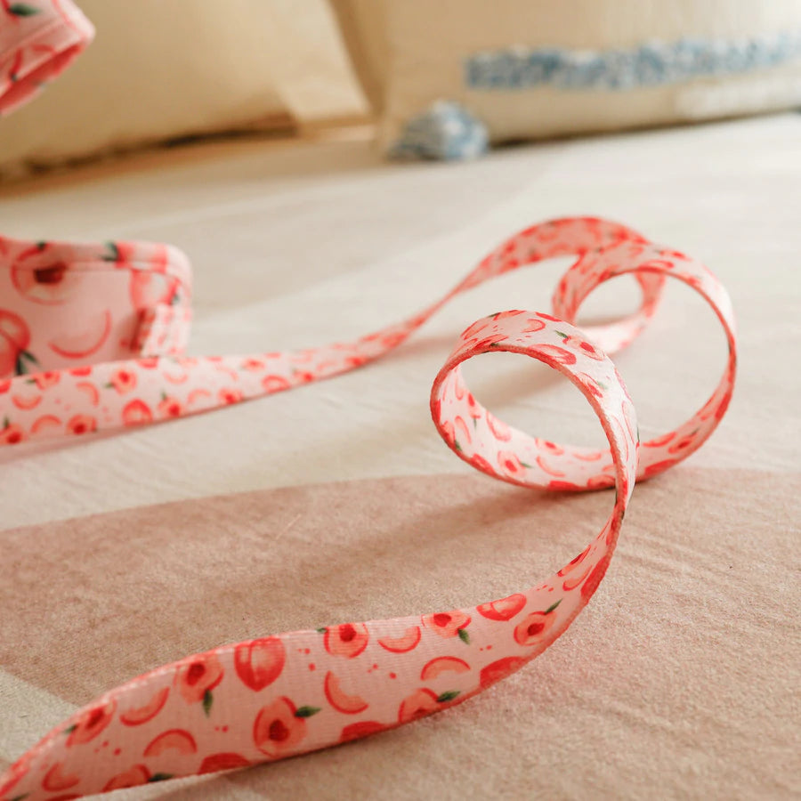 Peach Dog Leash