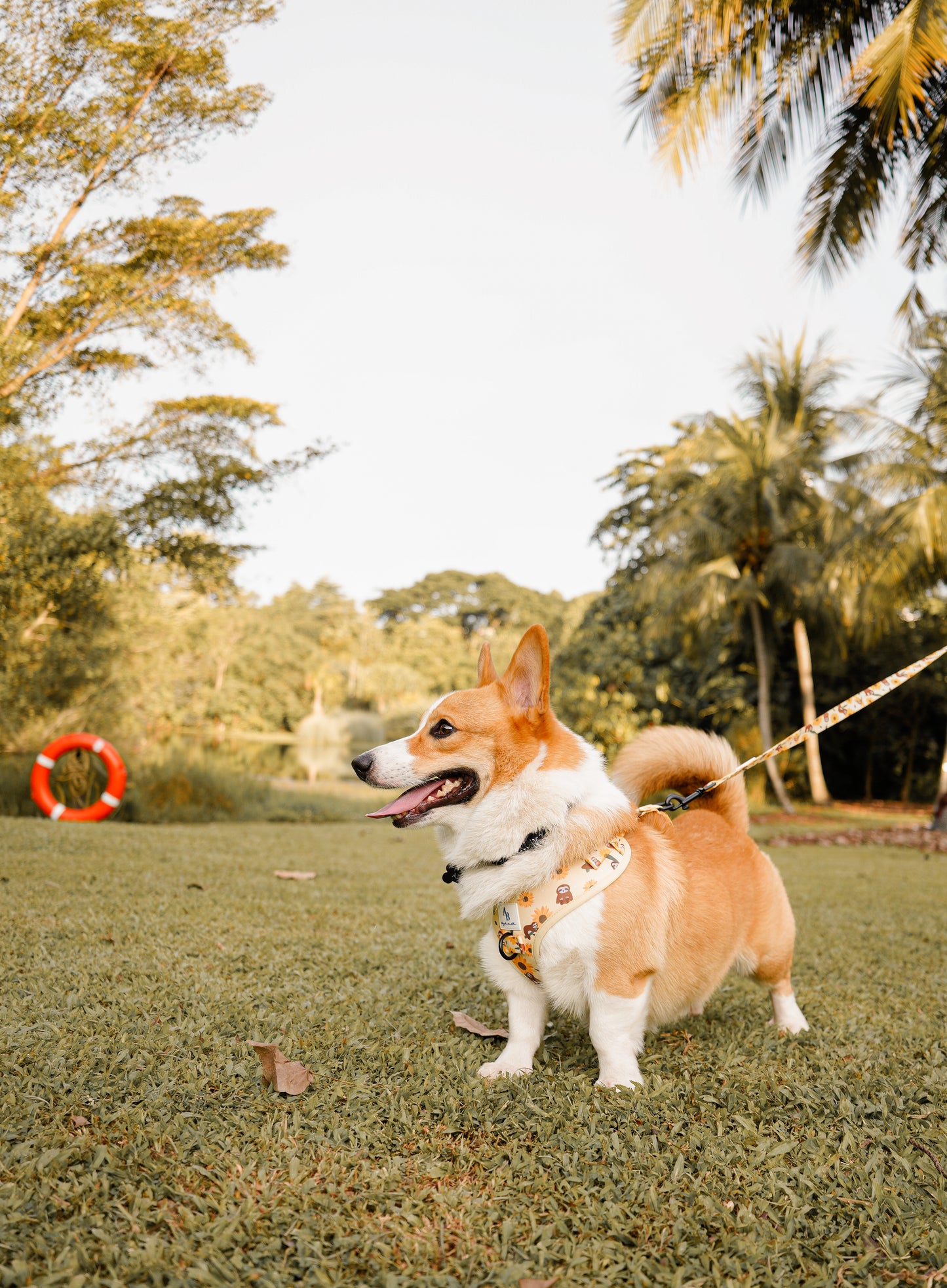 Summer Sloths Dog Collar