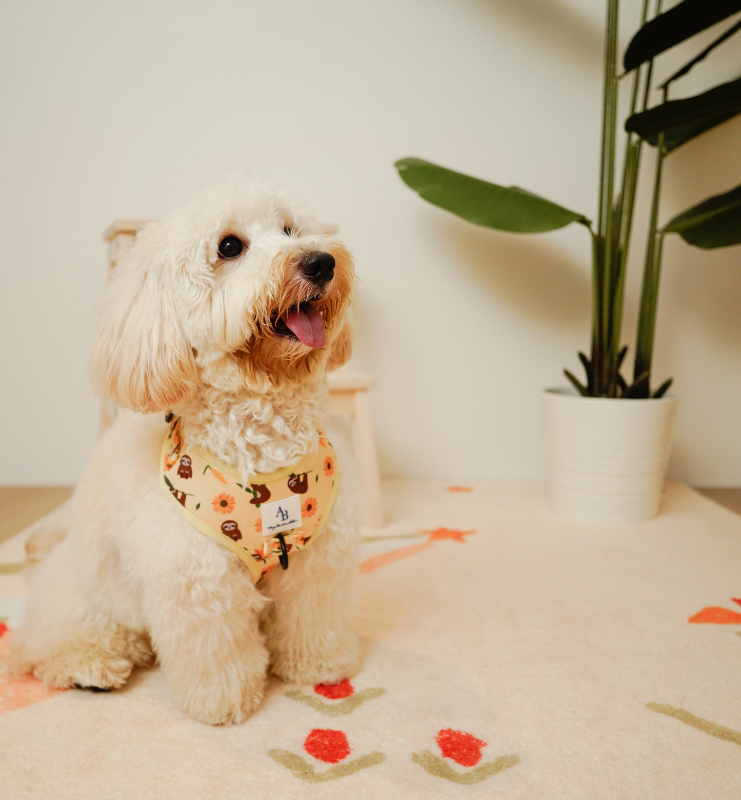 Summer Sloths Dog Leash