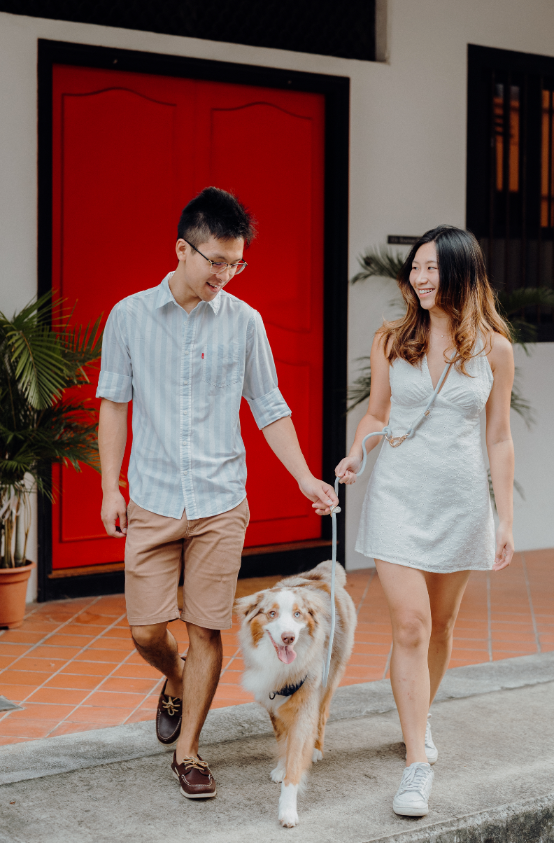 CLOUD Dog Hands-Free Leash