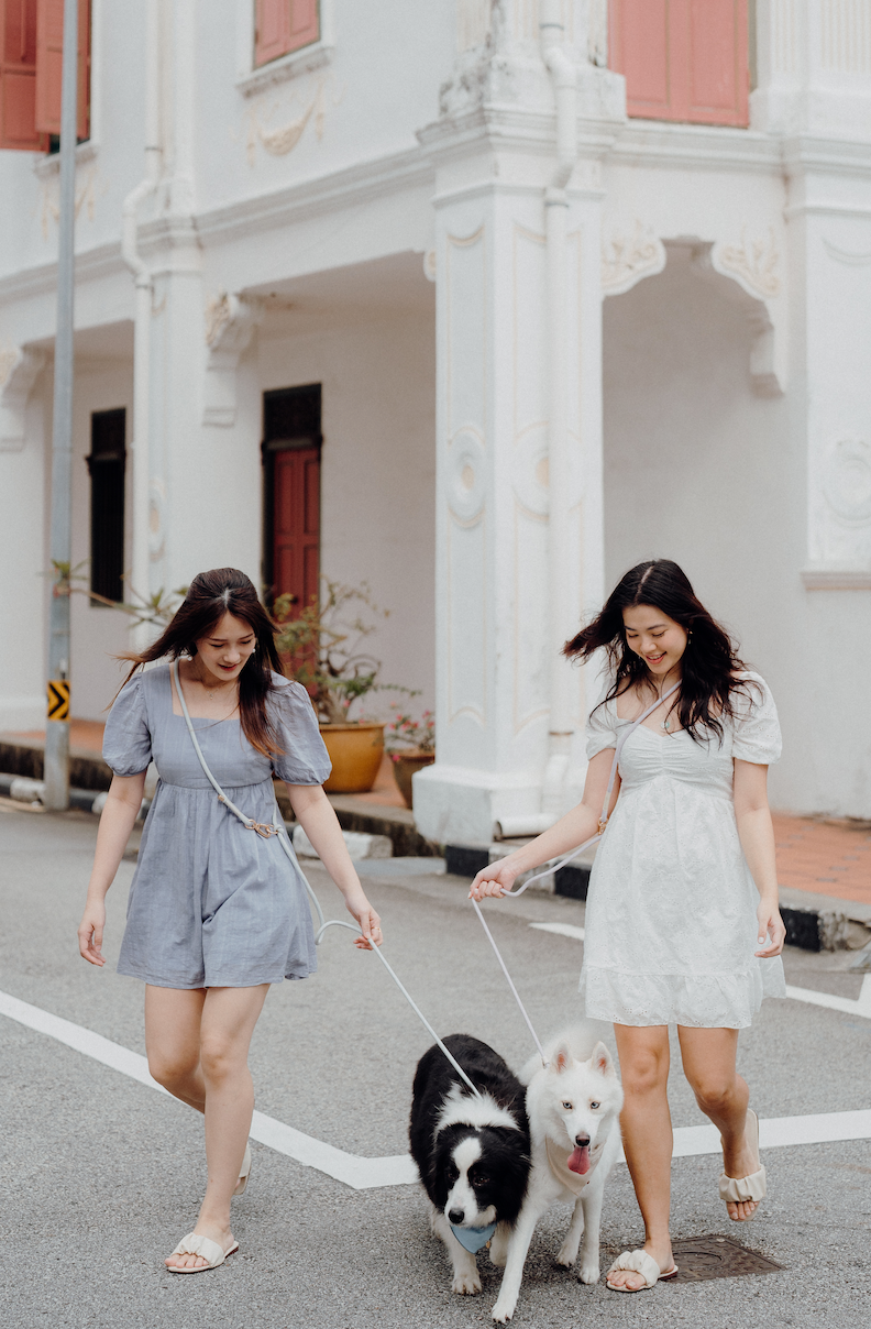 CLOUD Dog Hands-Free Leash