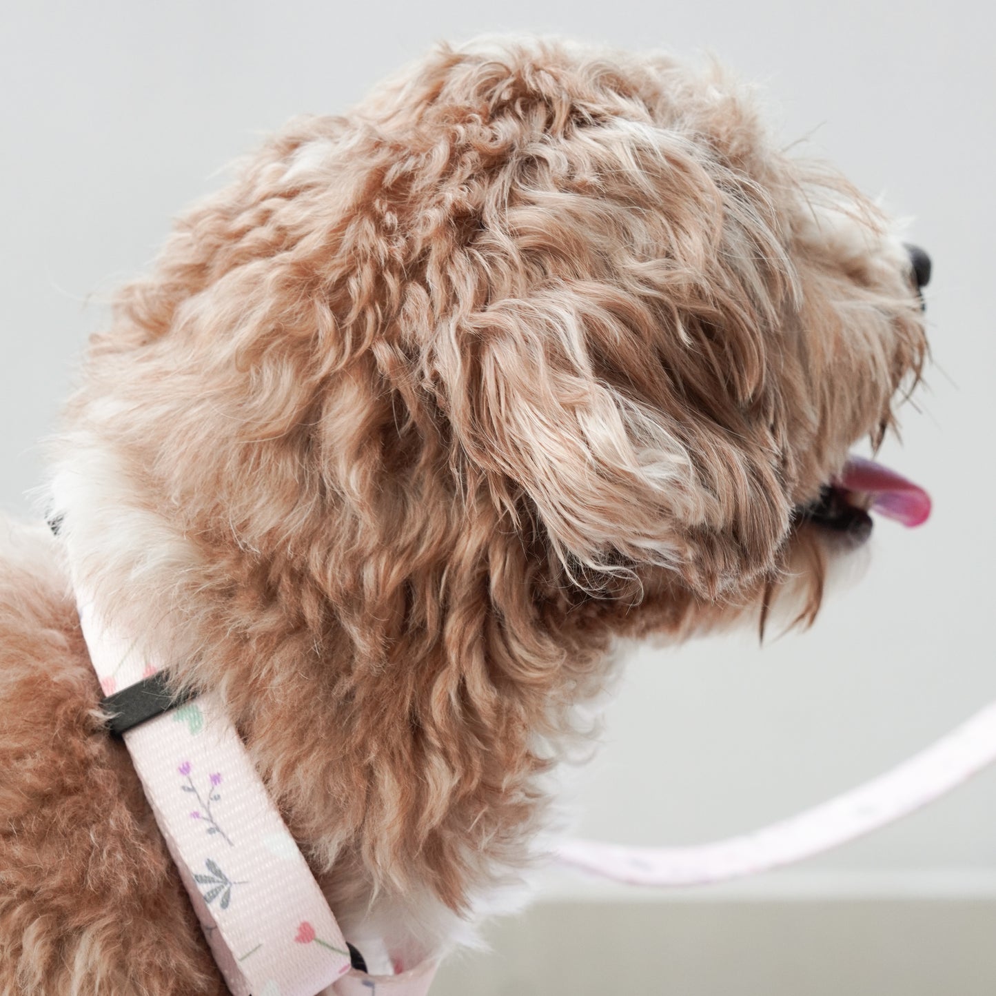 Pink Blossom Dog H-Harness