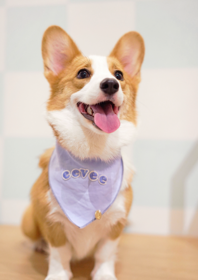 Cloud Linen Dog Bandana