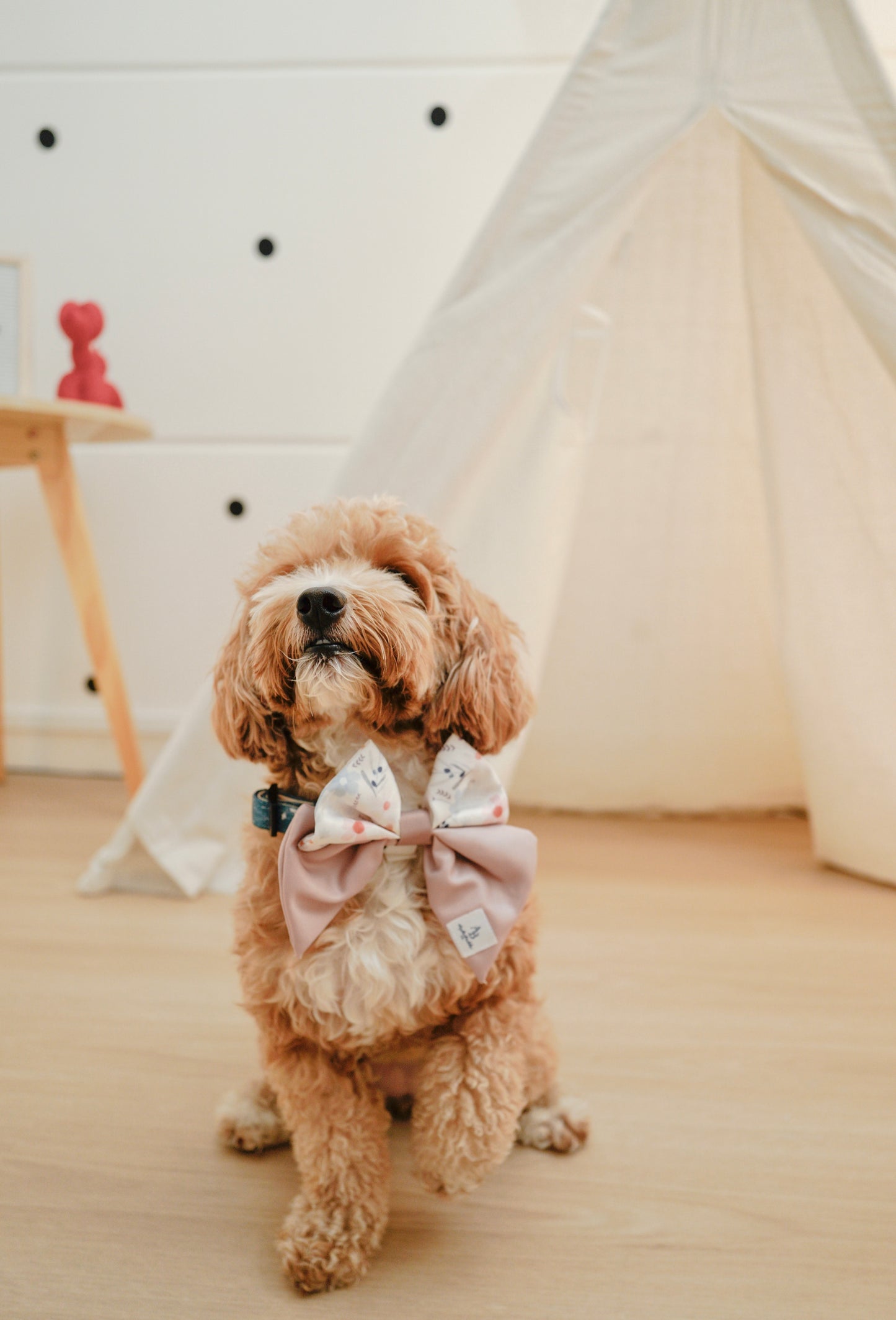 Pressed Flowers Dog Sailor Bow
