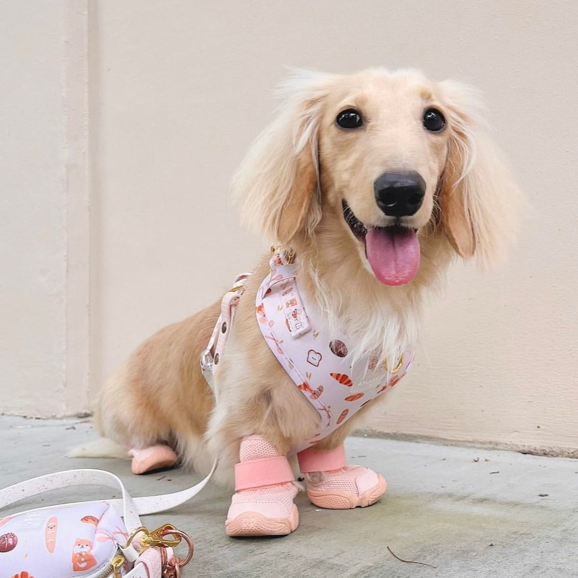 Toast Dog Harness